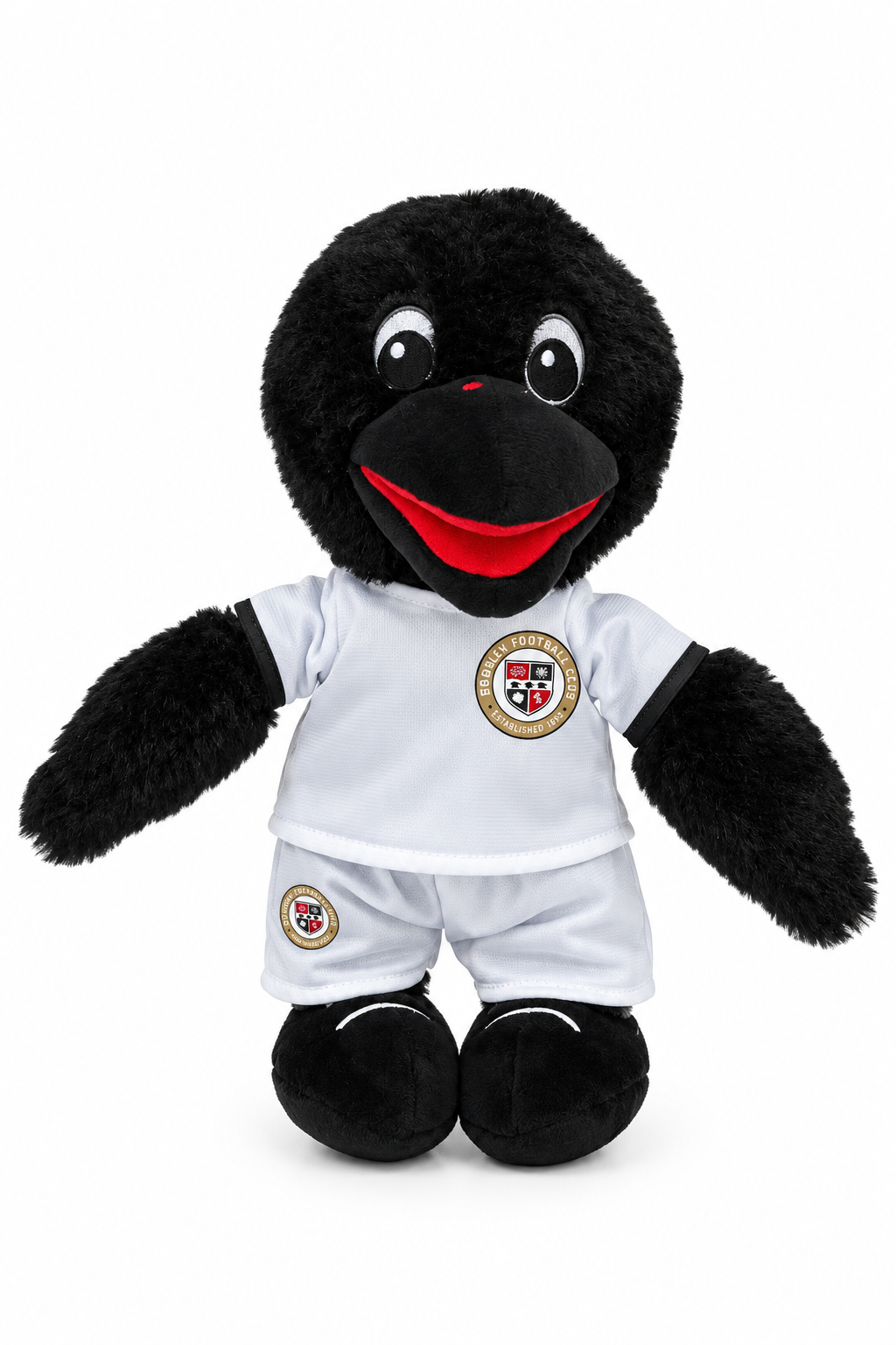 Bromley FC Raven Mascot Teddy