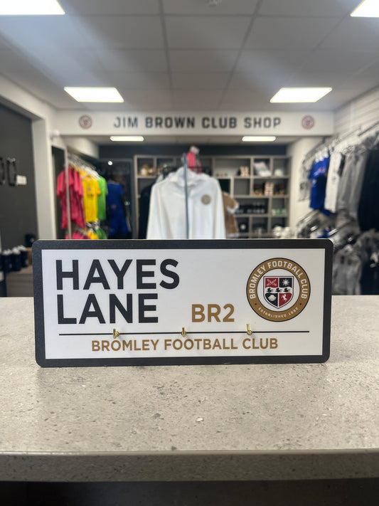Bromley FC Hayes Lane Key Hanger